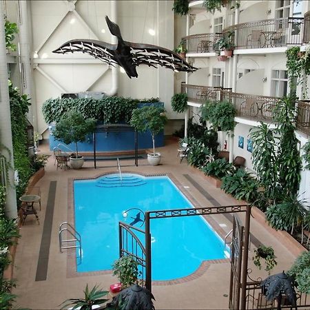 Hotel L'Oie Des Neiges Lévis エクステリア 写真