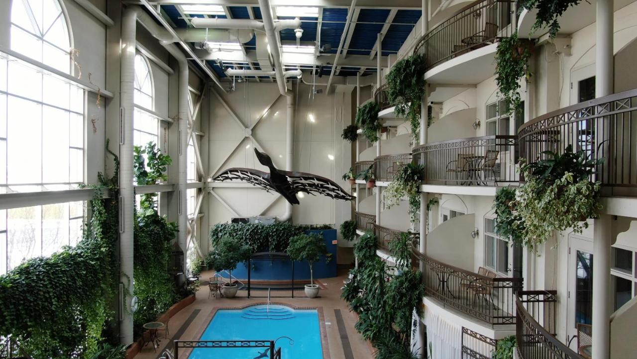 Hotel L'Oie Des Neiges Lévis エクステリア 写真