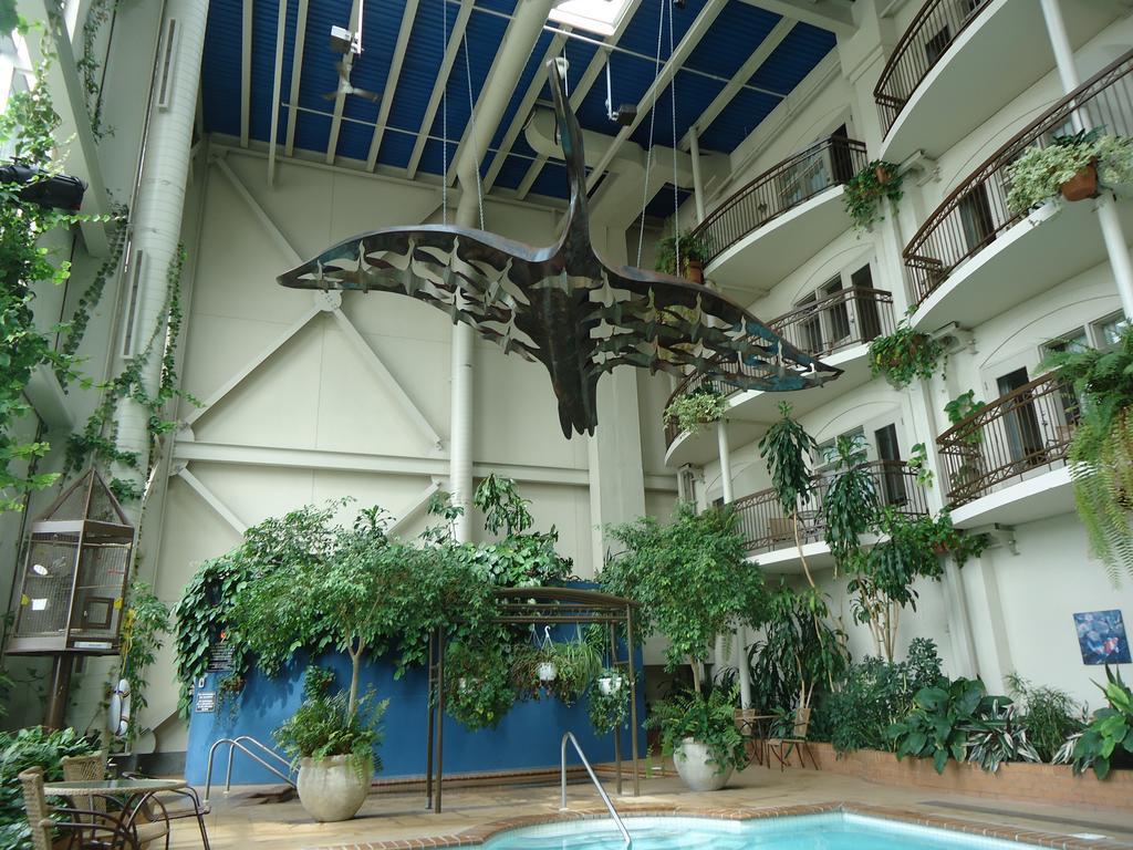 Hotel L'Oie Des Neiges Lévis エクステリア 写真